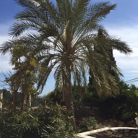 Villa Luxury For 16 People With Seaview, Pool And Bbq