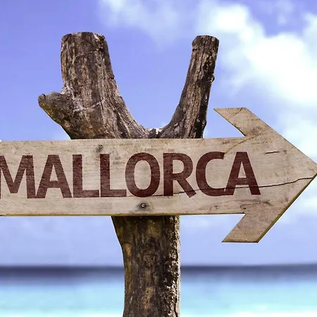 Luxury For 16 People With Seaview, Pool And Bbq * Palma de Mallorca